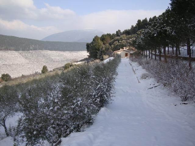 Agriturismo Istrice Innamorato 캄펠로술클리툰노 외부 사진