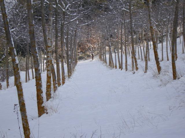 Agriturismo Istrice Innamorato 캄펠로술클리툰노 외부 사진